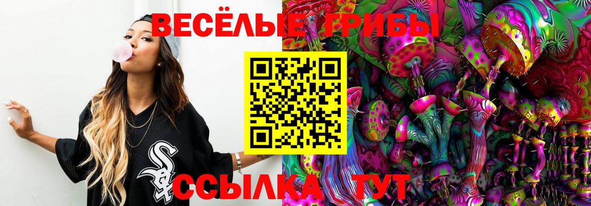 Татарск  Псилоцибиновые грибы GOLDEN TEACHER  Вход с VPN 