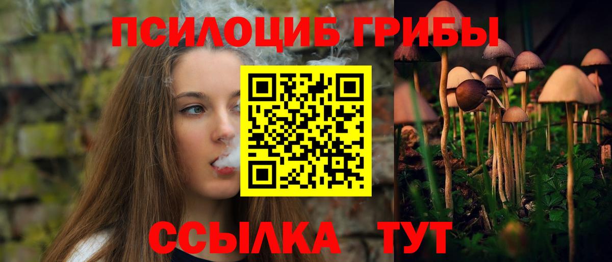 Псилоцибиновые грибы Psilocybe Татарск